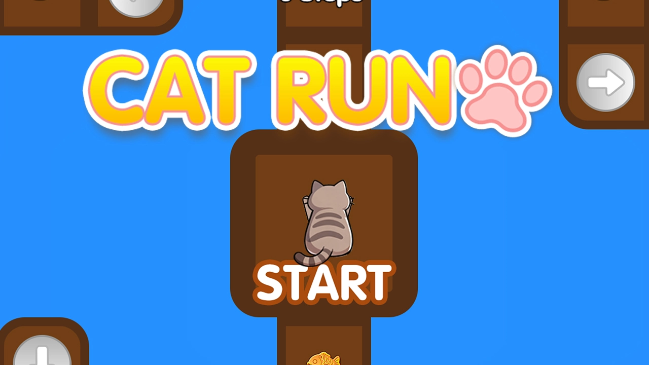 Carrera de Gato