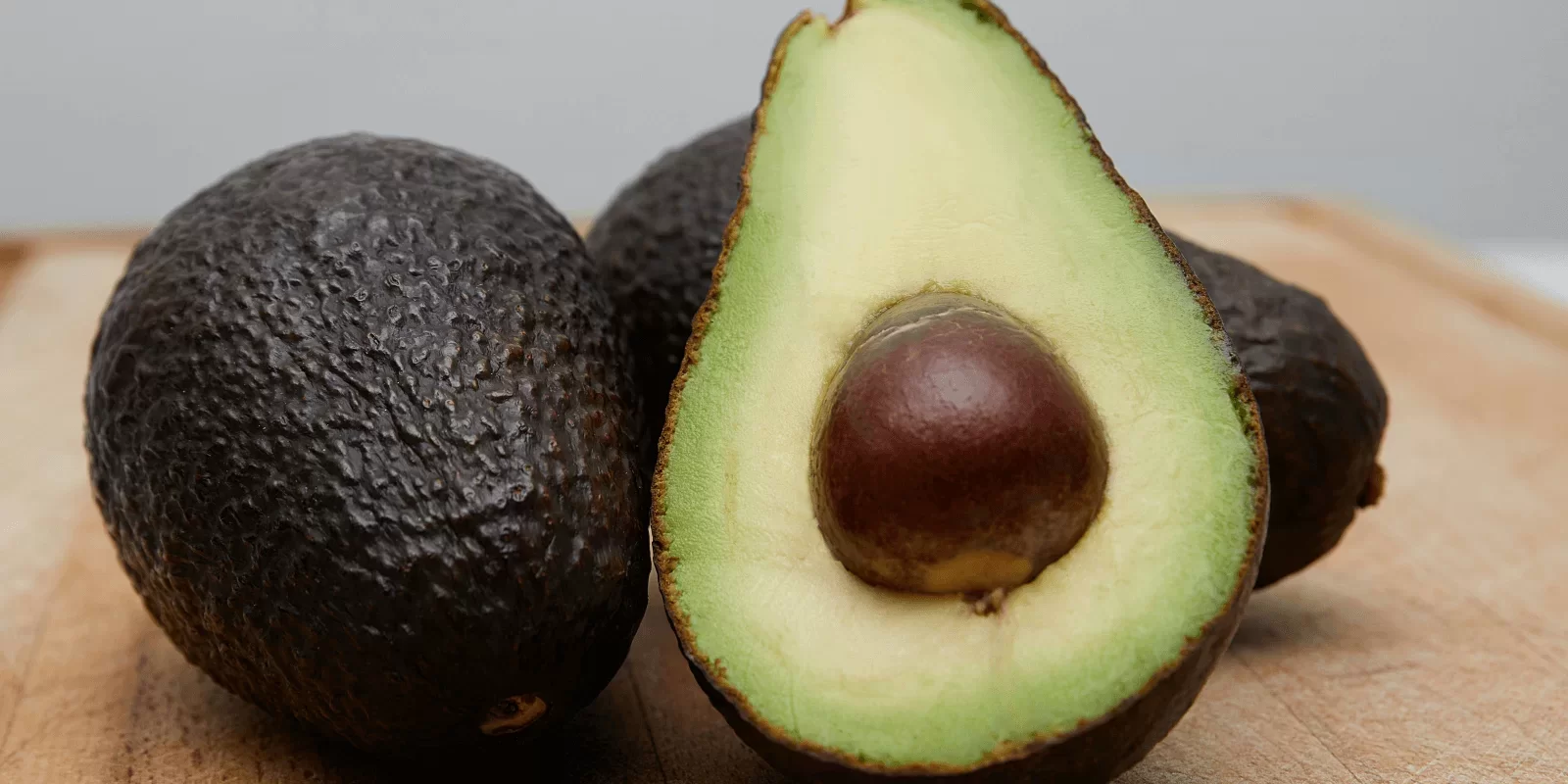 Cancatseatavocado2(1).webp