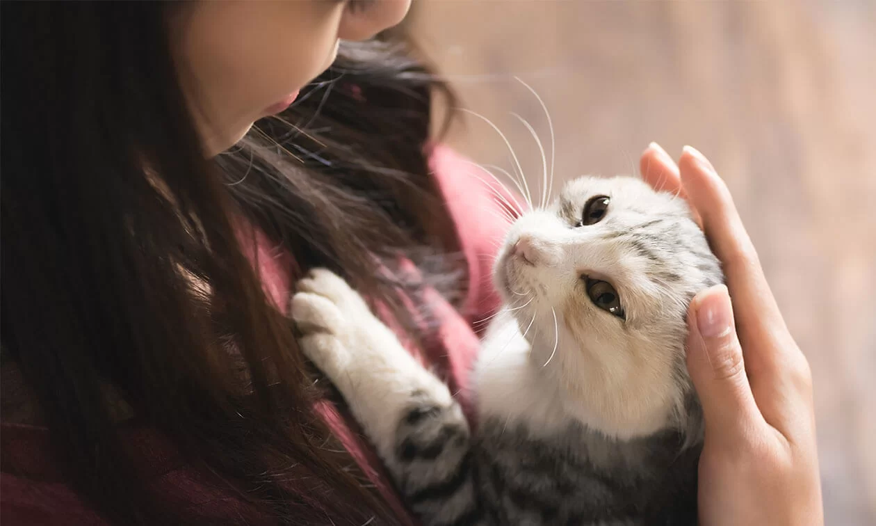 article-clingy_cat-header1.5x.jpg